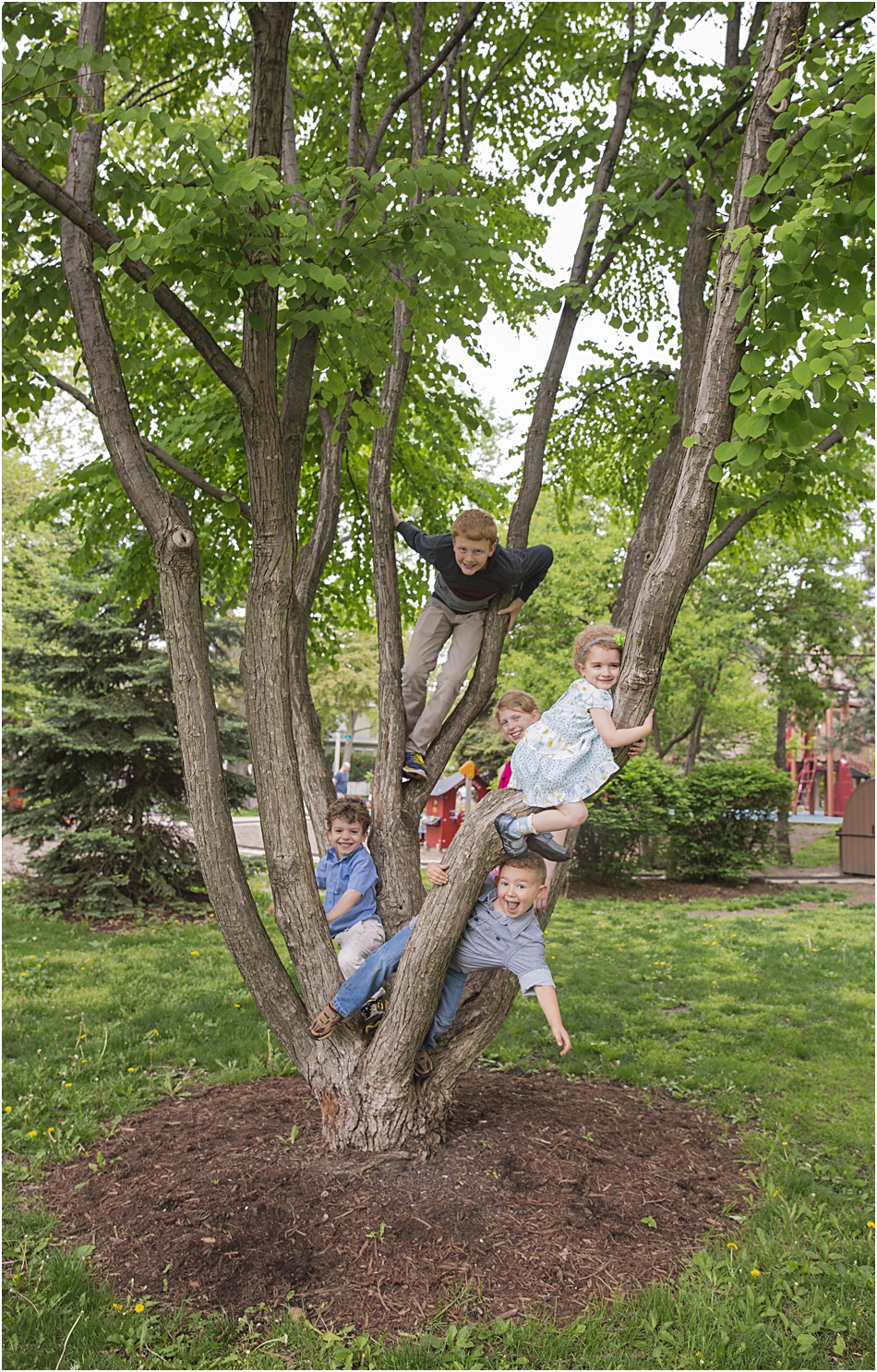 2015-06-23_0008.jpg 2015-06-23_0008.jpg