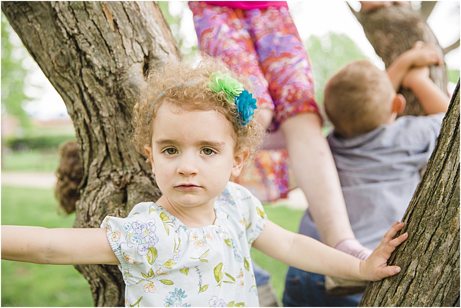 2015-06-23_0020.jpg 2015-06-23_0020.jpg