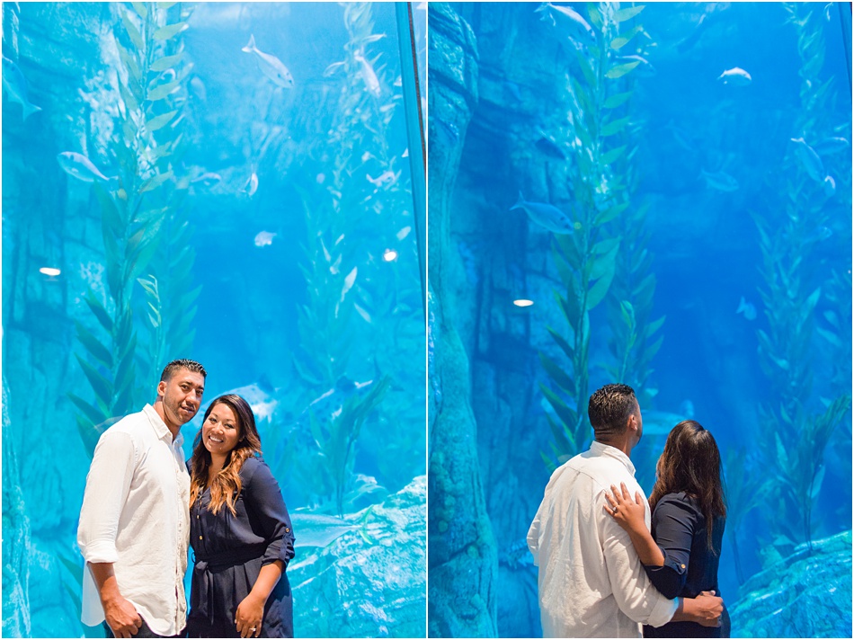Long Beach Aquarium Engagement Session