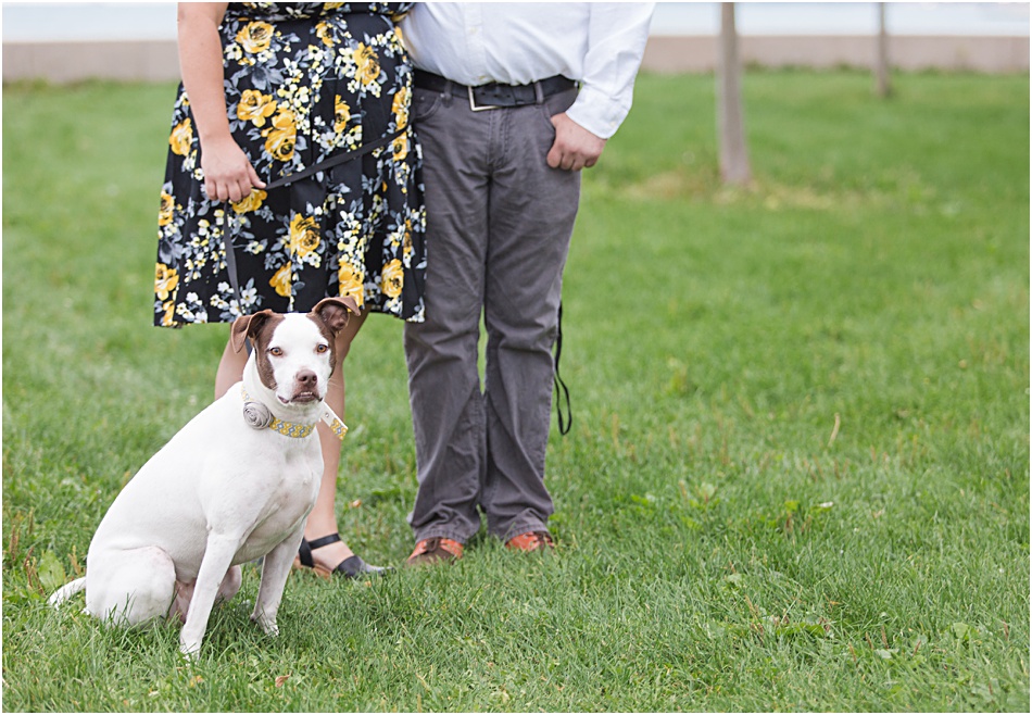 Belmont-Harbor-Engagement_0003.jpg Dog Engagement Session