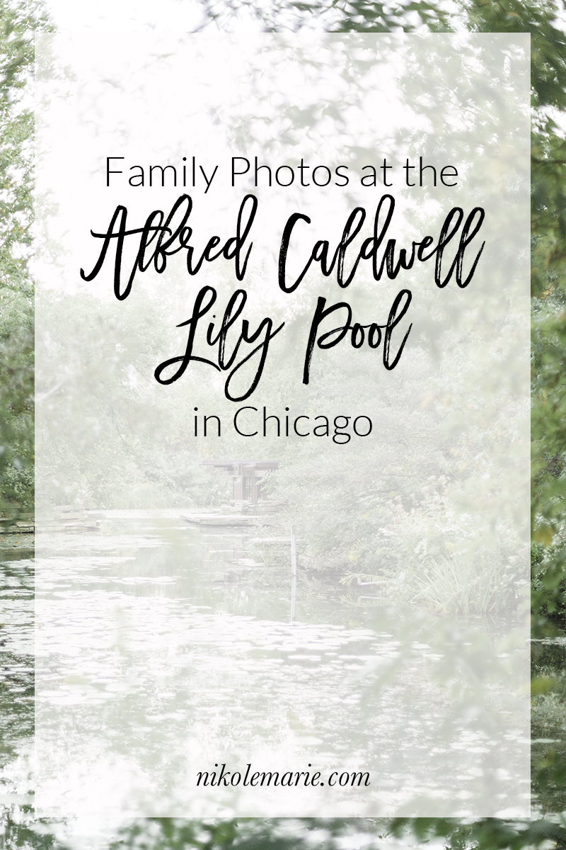 family photos at the Alfred Caldwell Lily Pool