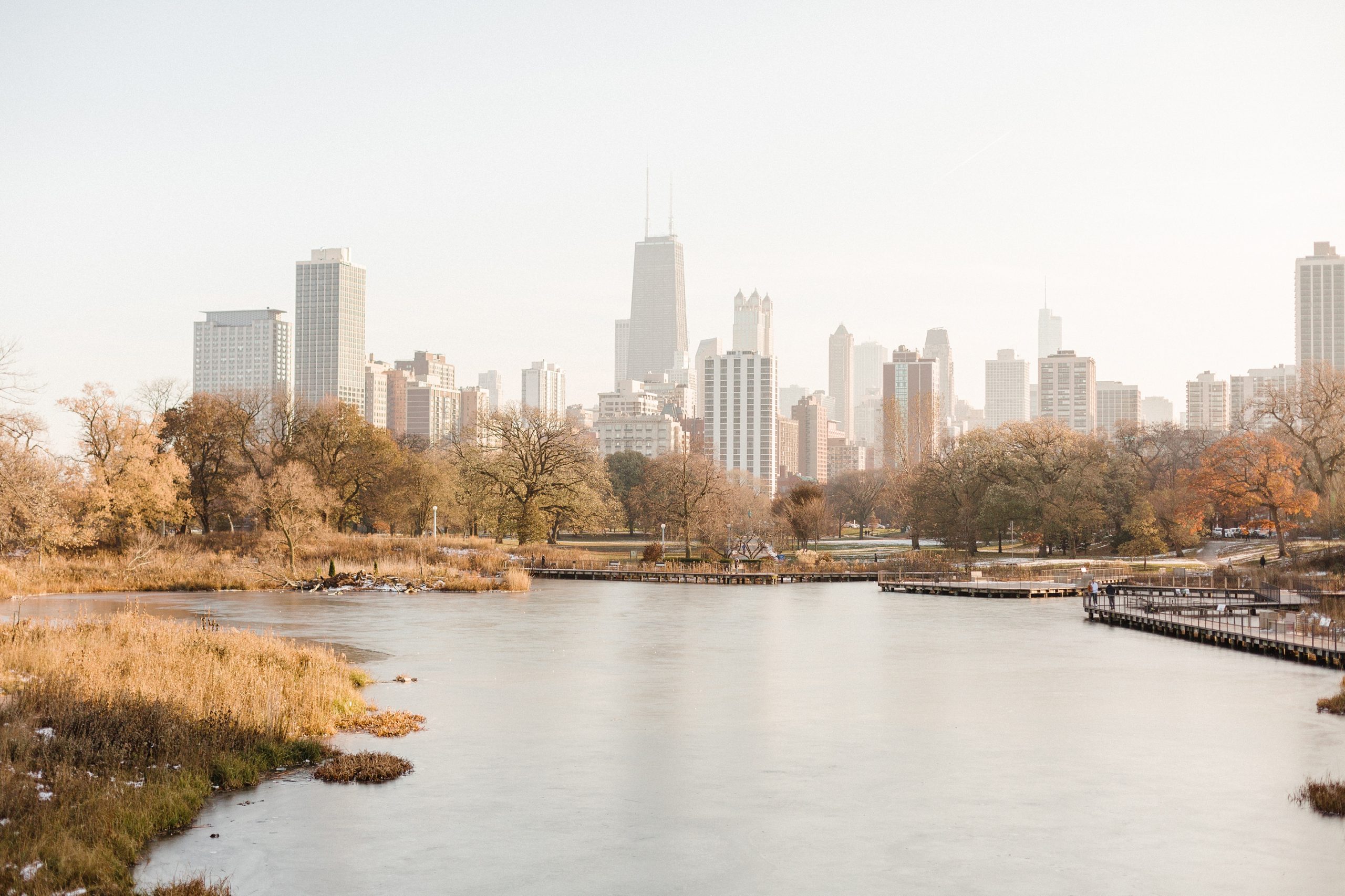 Honeycomb Engagement Photos_0001.jpg Chicago Skyline in the Fall