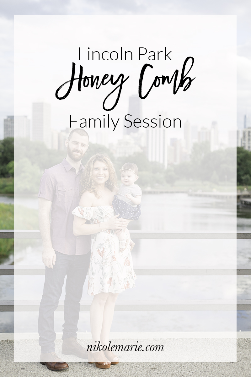 Lincoln Park Honey Comb Family Photos