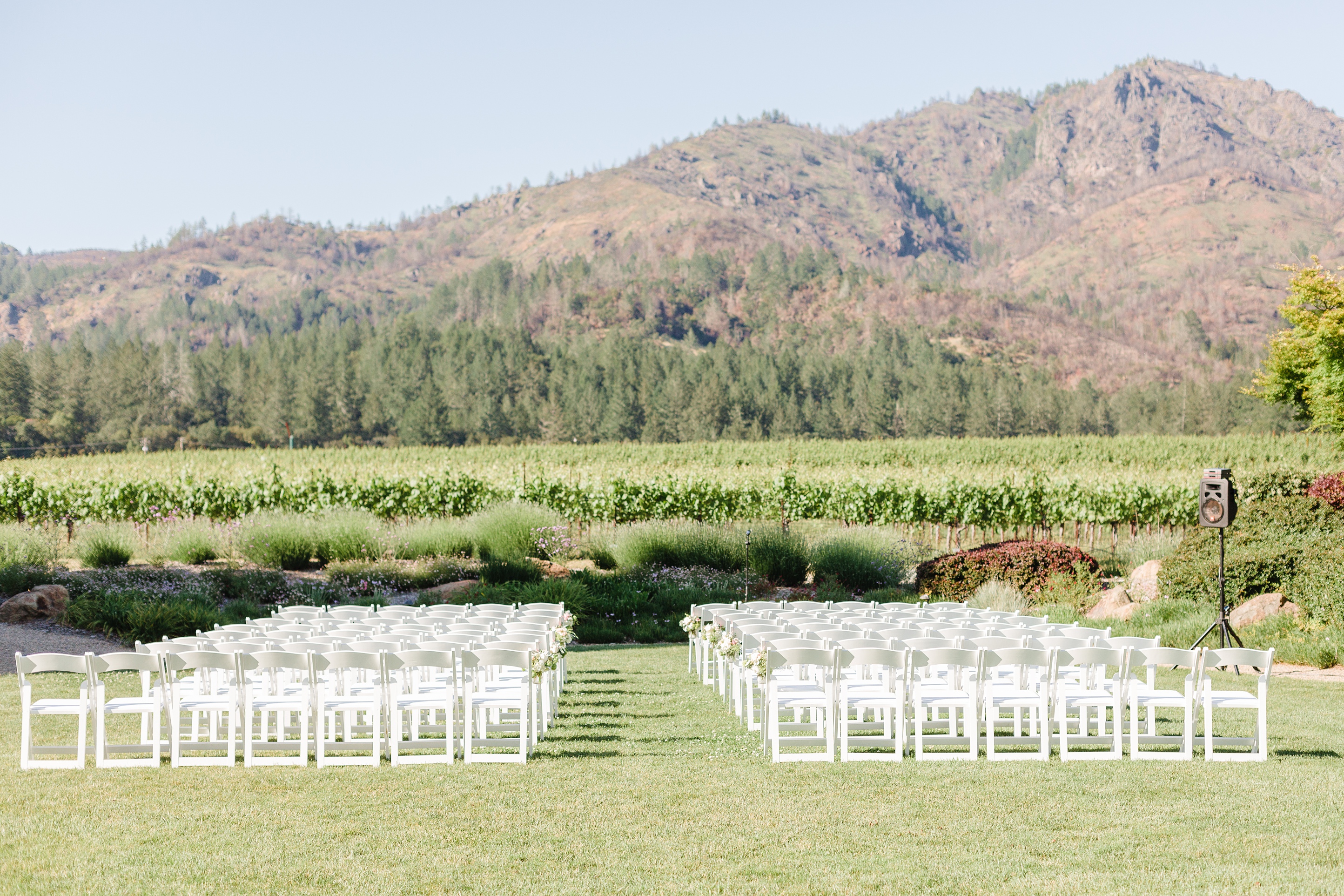 Stunning Sonoma California Vineyar Wedding_0020.jpg Stunning Sonoma California Vineyar Wedding_0020.jpg