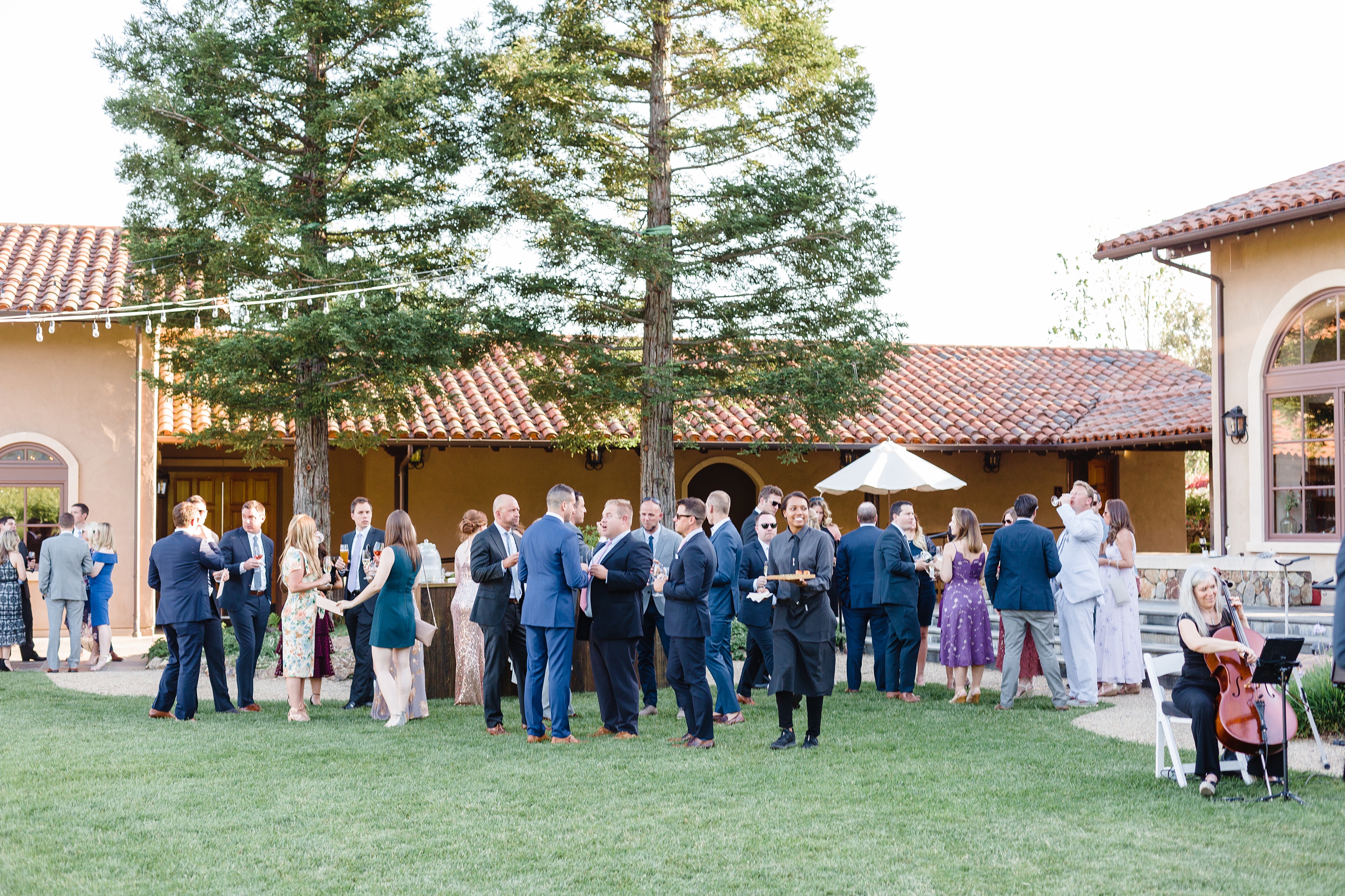 Stunning Sonoma California Vineyar Wedding_0027.jpg Stunning Sonoma California Vineyar Wedding_0027.jpg