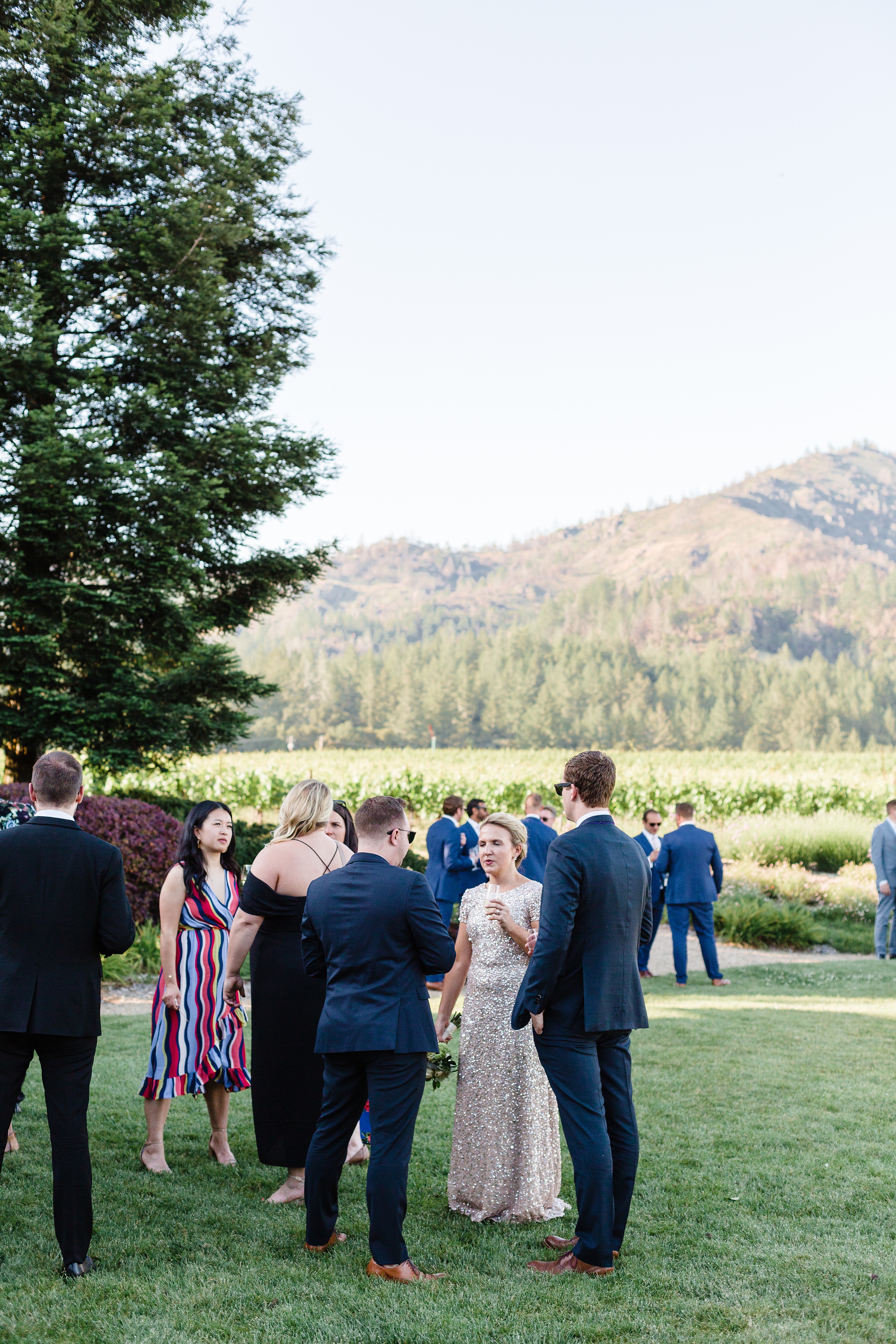 Stunning Sonoma California Vineyar Wedding_0028.jpg Stunning Sonoma California Vineyar Wedding_0028.jpg