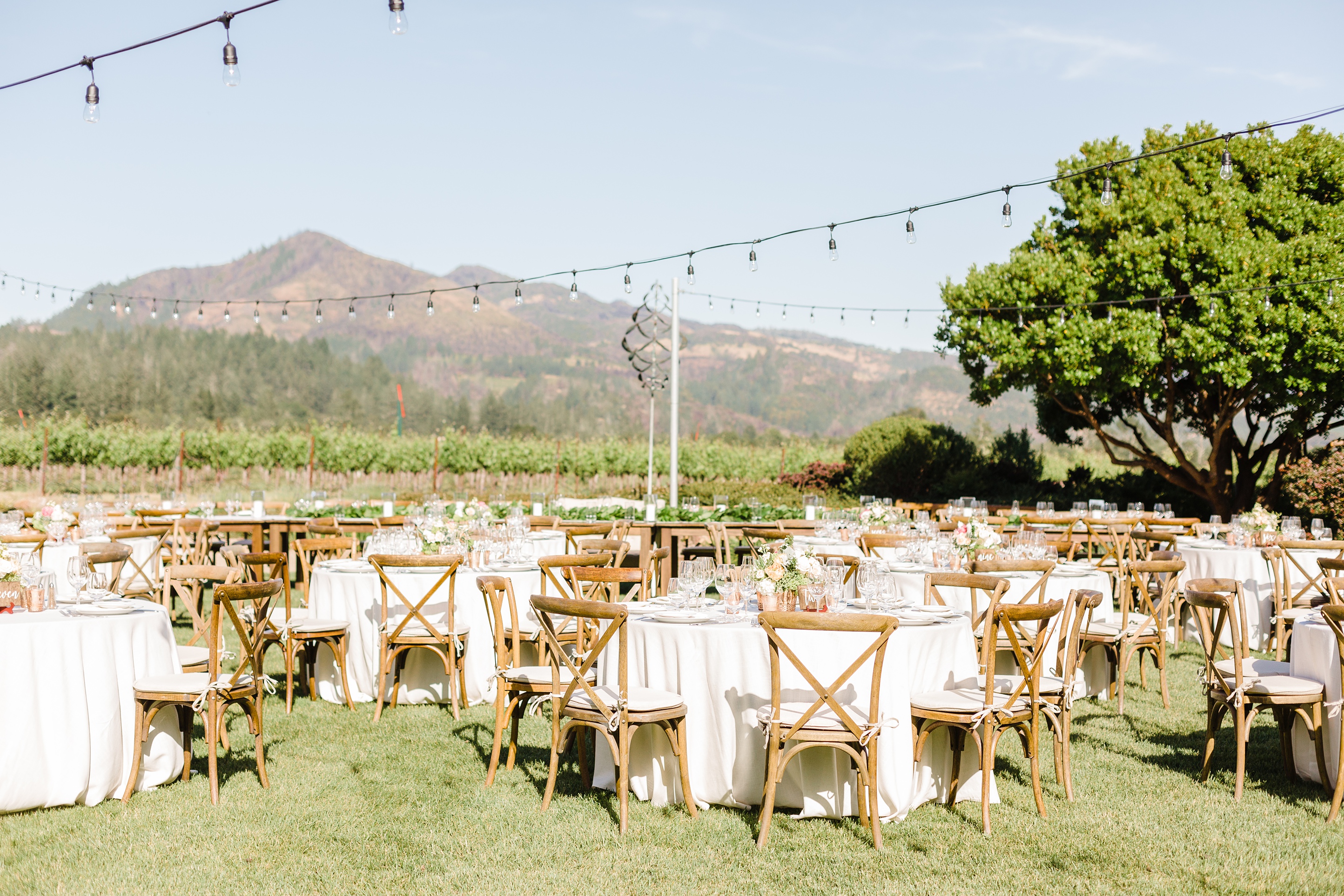Stunning Sonoma California Vineyard Wedding