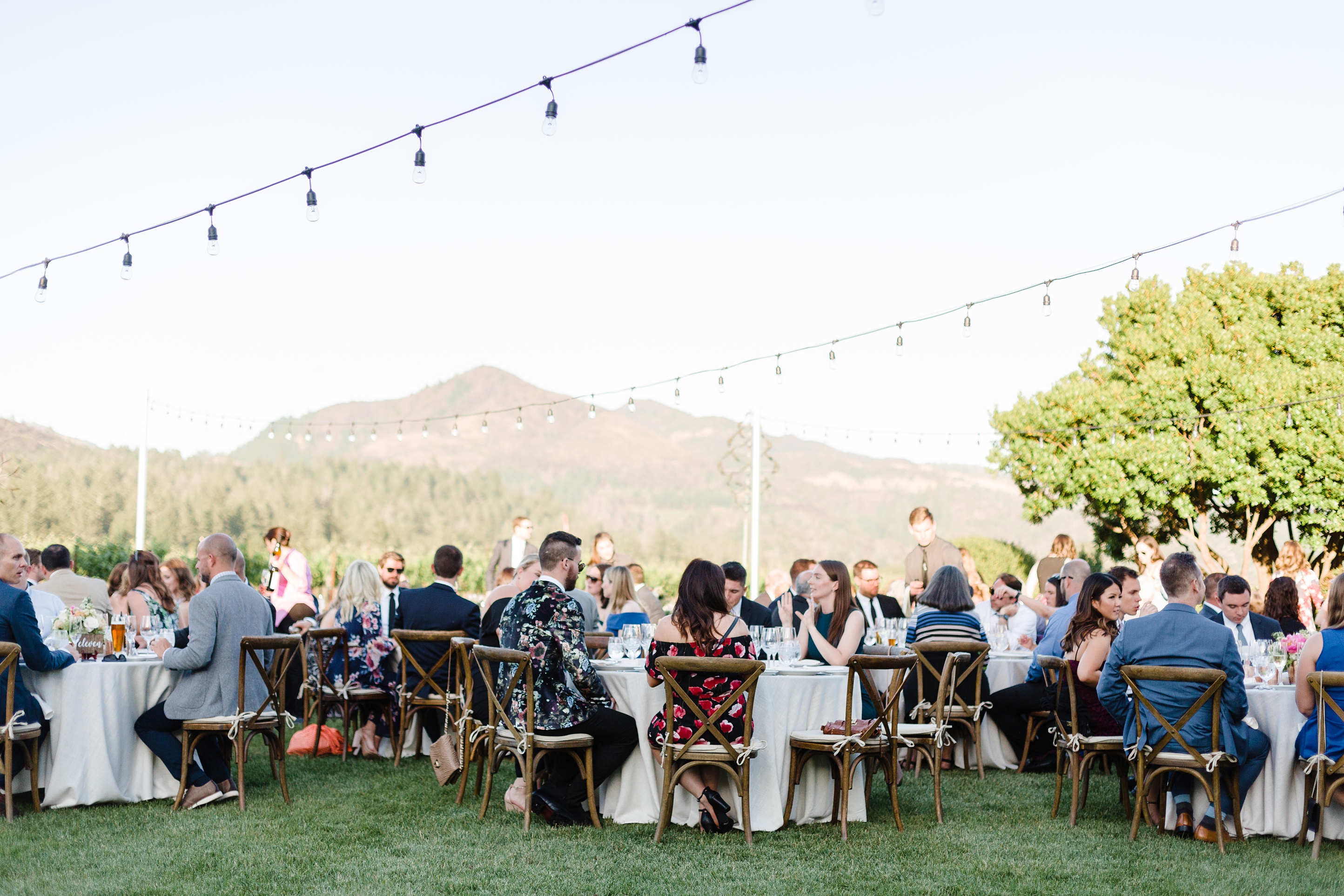 Stunning Sonoma California Vineyar Wedding_0041.jpg Stunning Sonoma California Vineyar Wedding_0041.jpg