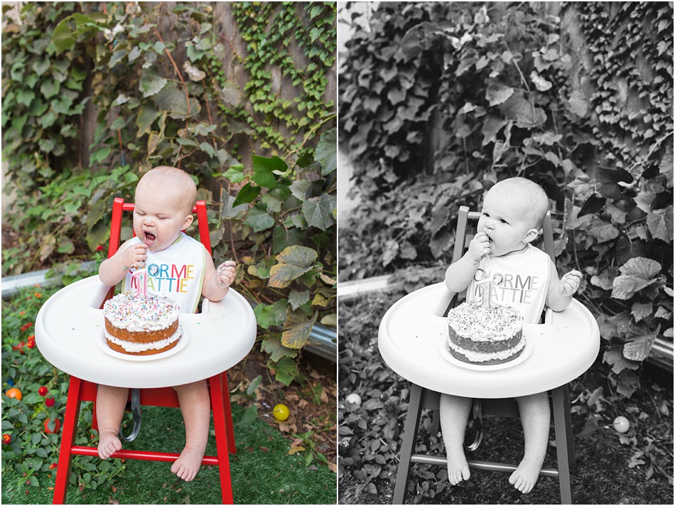 first-birthday-party-photo-chicago_0010.jpg Smash Cake