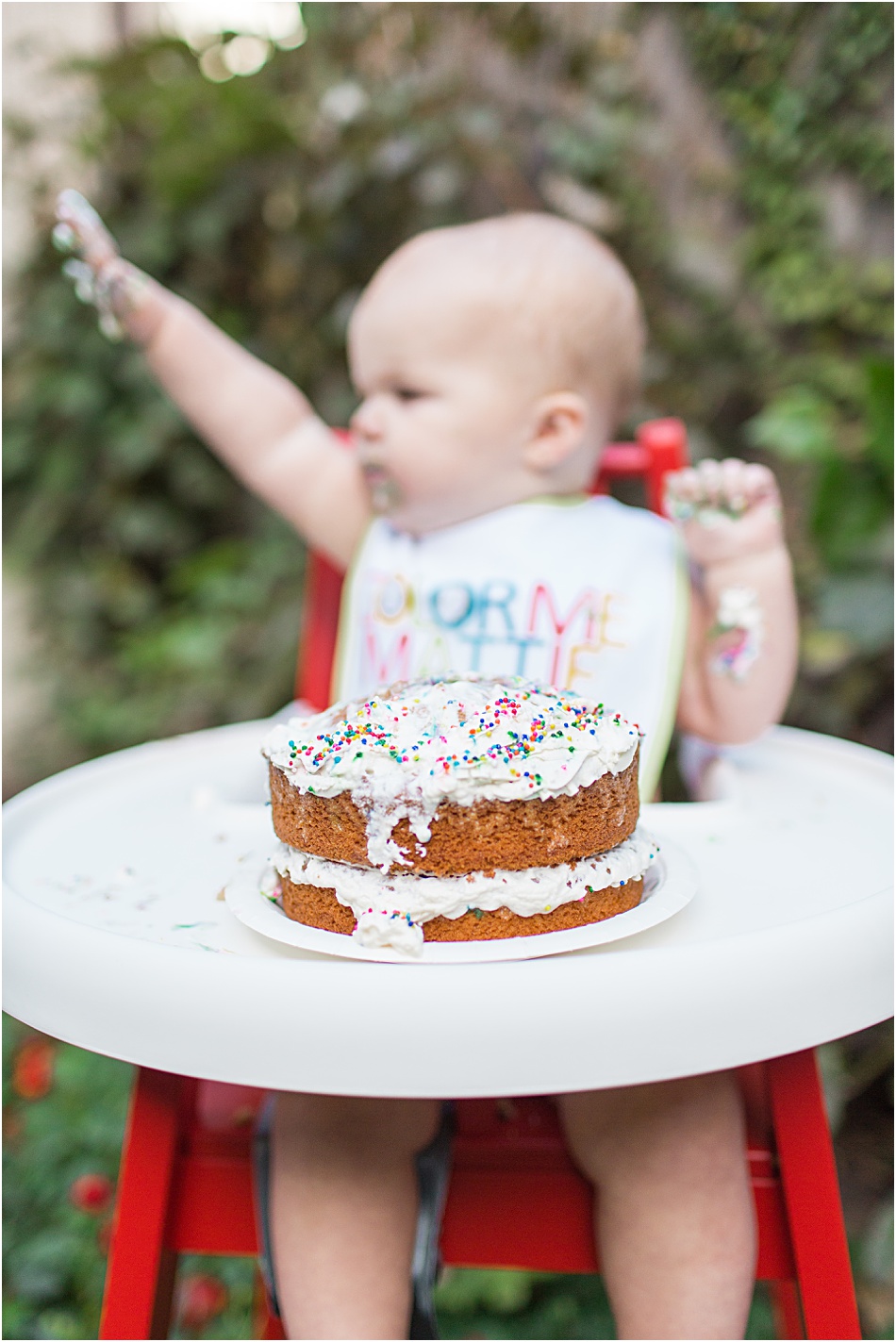 first-birthday-party-photo-chicago_0012.jpg First Birthday Cake